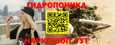 прущие грибы Будённовск