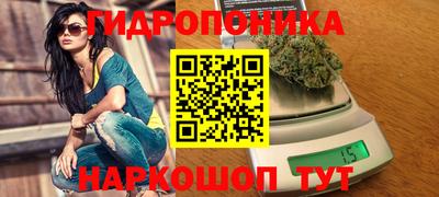 прущие грибы Будённовск
