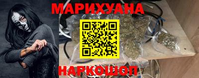 прущие грибы Будённовск