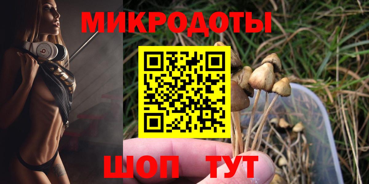 Псилоцибиновые грибы Psilocybe Шумерля